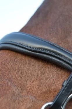 Horze Laelia Kandarenzaum -Pferdebedarf Discounter 10001 BL 04