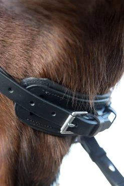 Horze Laelia Kandarenzaum -Pferdebedarf Discounter 10001 BL 05