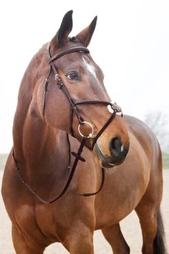 Horze Prescott Mexikanische Trense -Pferdebedarf Discounter 10012 BR 03