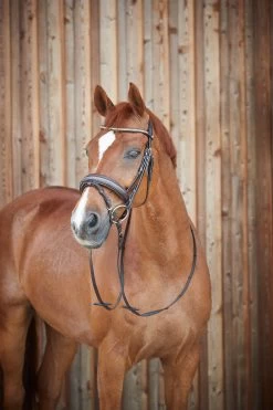 Horze Lester Trense -Pferdebedarf Discounter 10019 BR 4