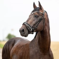 Horze Grayson Anatomische Trense -Pferdebedarf Discounter 10084 BL 1