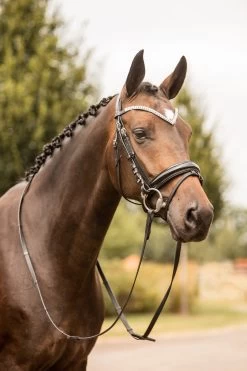 Horze Grayson Anatomische Trense -Pferdebedarf Discounter 10084 BL BL 4