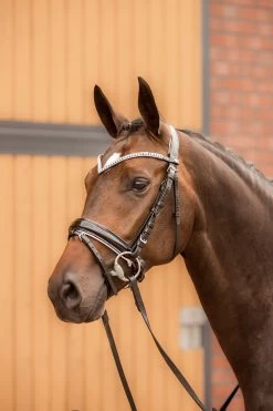 Horze Grayson Anatomische Trense -Pferdebedarf Discounter 10084 BL WH 4