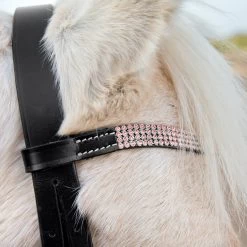 Horze Pony Trense -Pferdebedarf Discounter 10104 BL PI 2