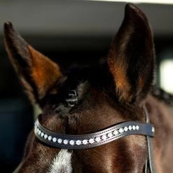 Horze Bergen Remont Trense -Pferdebedarf Discounter 10109 BR 2