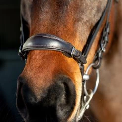 Horze Bergen Remont Trense -Pferdebedarf Discounter 10109 BR 3