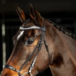 Horze Bergen Remont Trense -Pferdebedarf Discounter 10109 BR 4