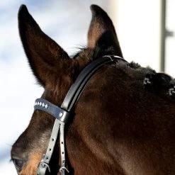 Horze Bergen Remont Trense -Pferdebedarf Discounter 10109 BR 5