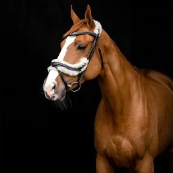 Horze Rome Anatomische Trense -Pferdebedarf Discounter 10118 DBR 4