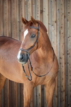 Horze Orlando Anatomische Kombinierte Gebisslose Trense -Pferdebedarf Discounter 10125 BR 5