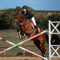 Horze Atlanta Stollenschutz-Sattelgurt Mit Fleecefutter -Pferdebedarf Discounter 14677 DBR 3