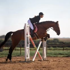 Horze Atlanta Stollenschutz-Sattelgurt Mit Fleecefutter -Pferdebedarf Discounter 14677 DBR 4