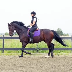 Horze River Vielseitigkeitsschabracke -Pferdebedarf Discounter 17014 PU PU 2