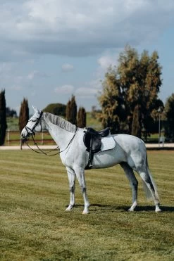 Horze Kühlende Vielseitigkeitsschabracke -Pferdebedarf Discounter 17307 PBG 3