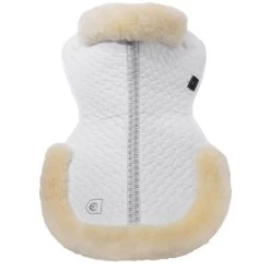 Christ Sattelpad Mit Rand -Pferdebedarf Discounter 17331 WH OWH 2