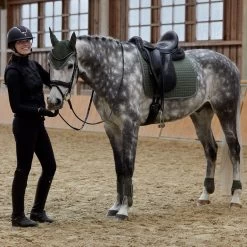 Horze Adepto Vielseitigkeitsschabracke 37 Horze Adepto Vielseitigkeitsschabracke -Pferdebedarf Discounter 17343 BKGR 6