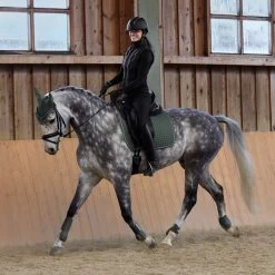 Horze Adepto Vielseitigkeitsschabracke 38 Horze Adepto Vielseitigkeitsschabracke -Pferdebedarf Discounter 17343 BKGR 7