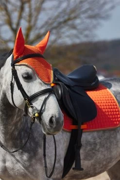 Horze Adepto Vielseitigkeitsschabracke 23 Horze Adepto Vielseitigkeitsschabracke -Pferdebedarf Discounter 17343 cgo 04