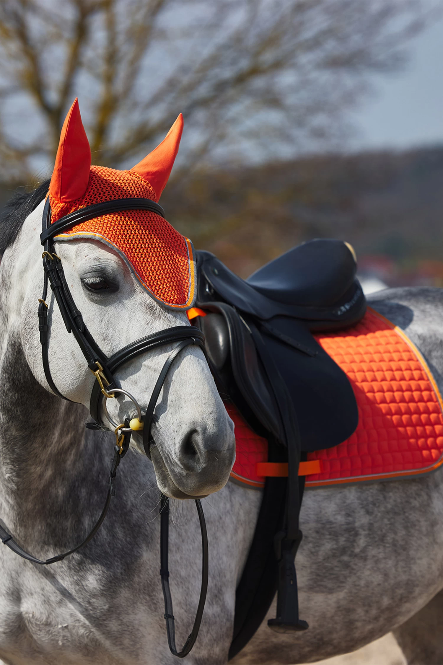 Horze Adepto Vielseitigkeitsschabracke 4 Horze Adepto Vielseitigkeitsschabracke – Bild 4