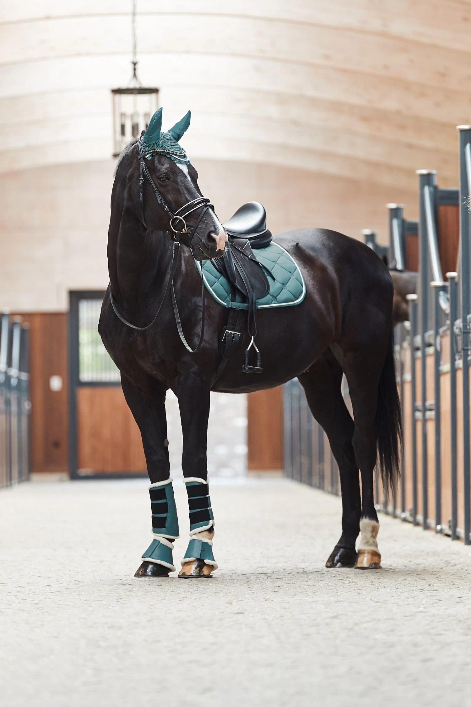 Horze Ghent Dressurschabracke Mit Kunstfell 4 Horze Ghent Dressurschabracke Mit Kunstfell – Bild 4