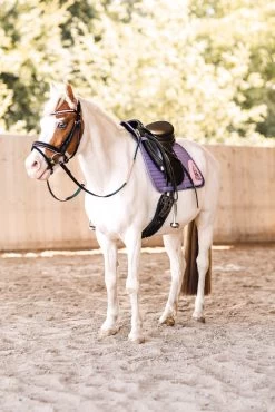 Horze Magic Carousel Vielseitigkeitsschabracke Für Ponys -Pferdebedarf Discounter 17461 433 06