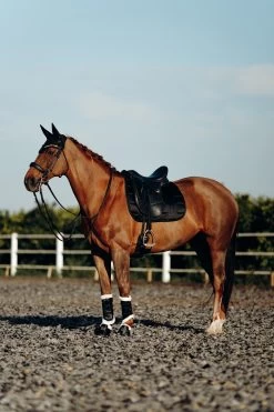 B Vertigo Drew Fliegenhaube -Pferdebedarf Discounter 22931 BL 4