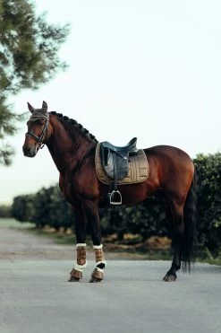 B Vertigo Drew Fliegenhaube -Pferdebedarf Discounter 22931 UBBR 4