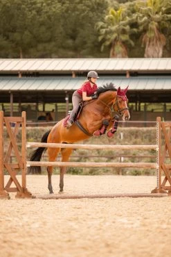 Horze Kenya Fliegenhaube -Pferdebedarf Discounter 22947 251 07