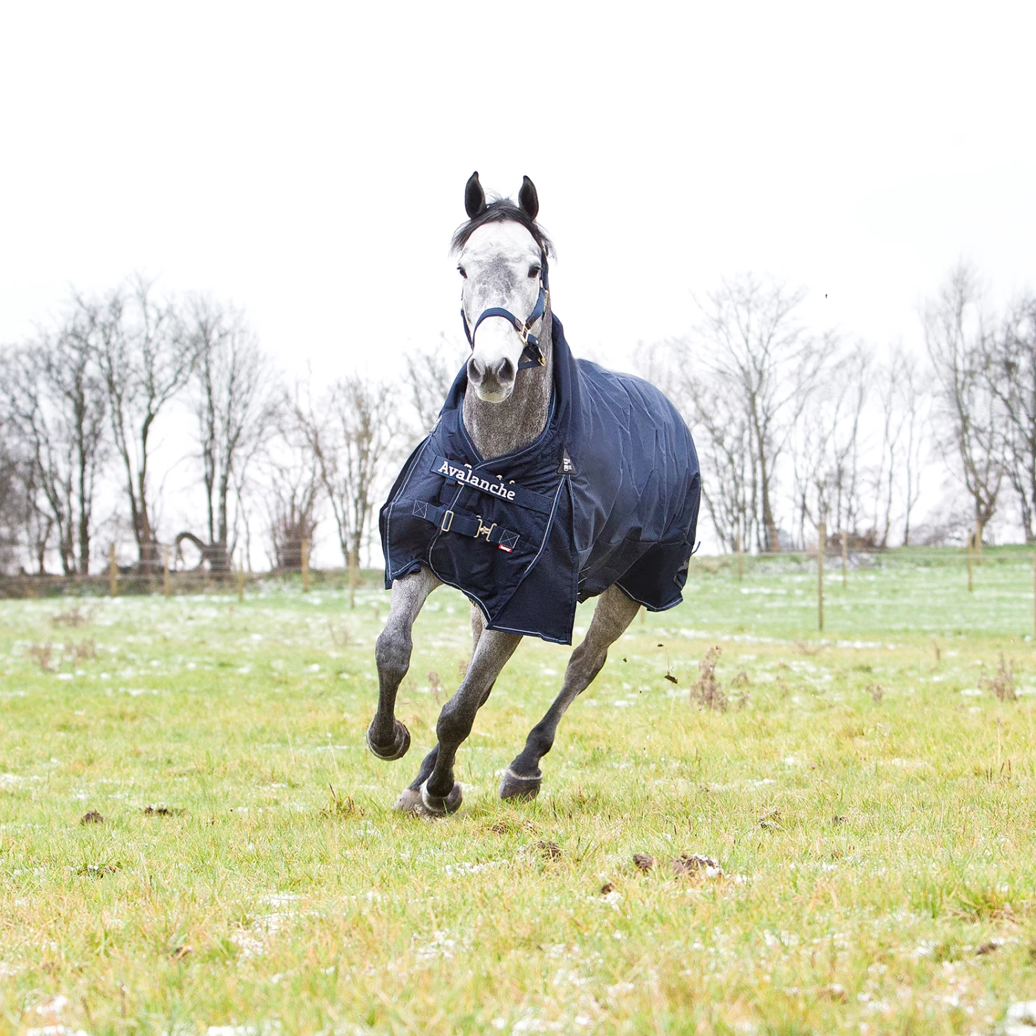 Horze Avalanche 1200D Regendecke Mit Hohem Hals Und Fleecefütterung 12 Horze Avalanche 1200D Regendecke Mit Hohem Hals Und Fleecefütterung – Bild 12