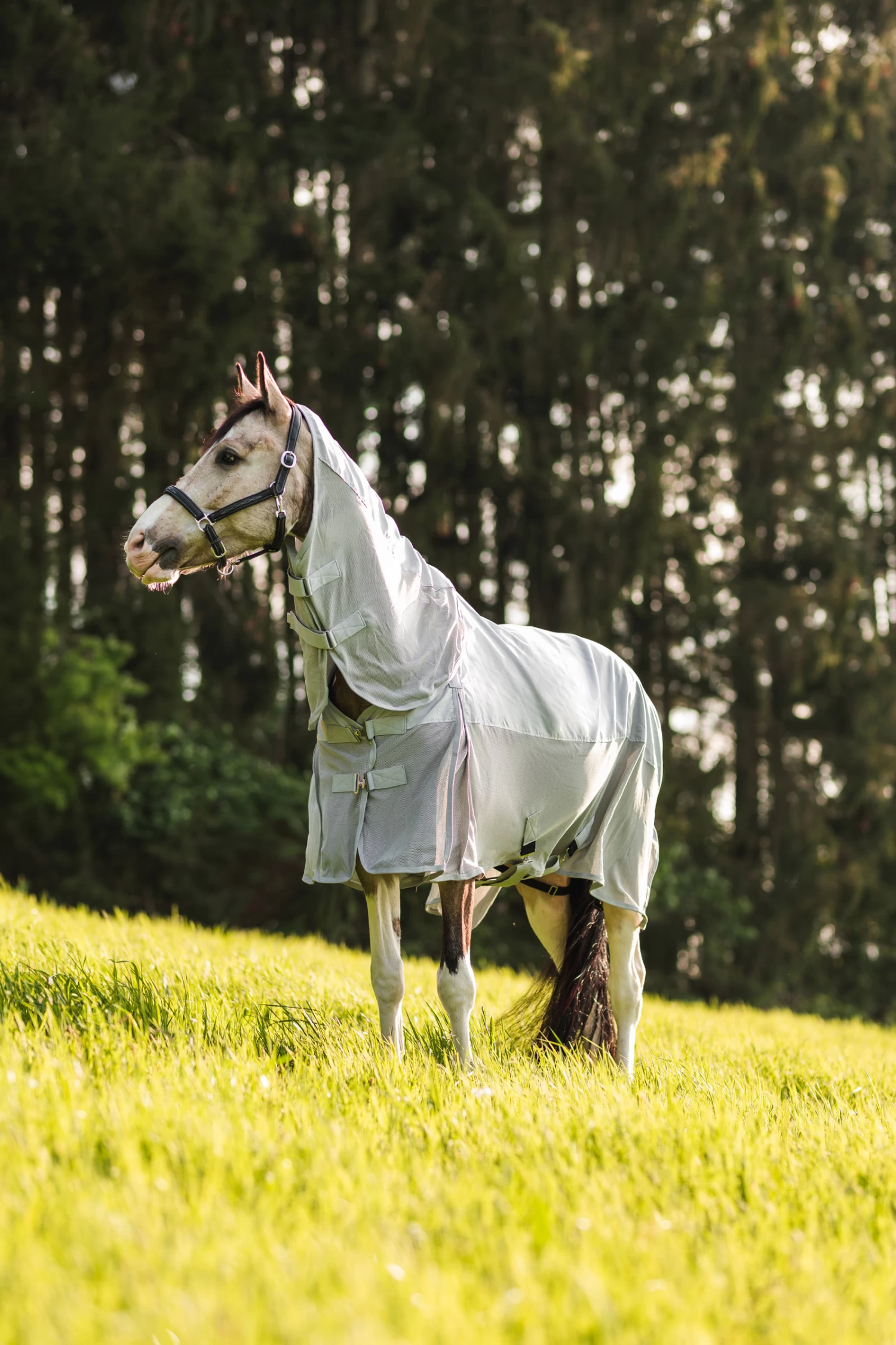 Horze Nevada Combo Regen-/Fliegendecke Mit Abnehmbarem Halsteil 5 Horze Nevada Combo Regen-/Fliegendecke Mit Abnehmbarem Halsteil – Bild 5