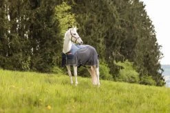 Horze Nevada Leichte Woll- & Meshdecke -Pferdebedarf Discounter 24046 vdb 12