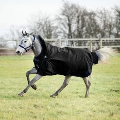 Horze Avalanche Regendecke Mit Hohem Hals, 150g -Pferdebedarf Discounter 24047 BL 2