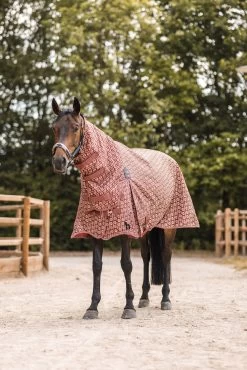 Horze Avalanche Weidedecke Mit Festem Halsteil, 150g -Pferdebedarf Discounter 24089 281 07