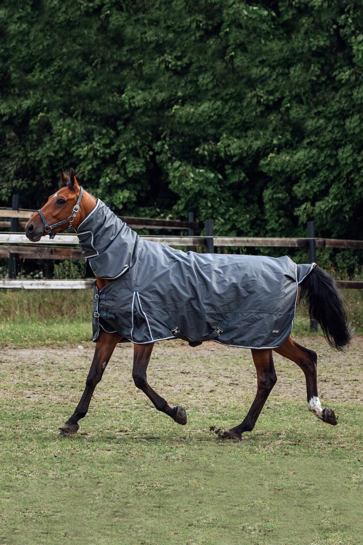 Horze Glasgow Regendecke Mit Halsteil, 400g 13 Horze Glasgow Regendecke Mit Halsteil, 400g – Bild 13