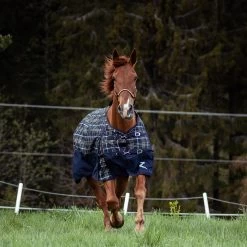 Horze Nevada 1200D Regendecke,100g -Pferdebedarf Discounter 24128 VDB MBZ 3