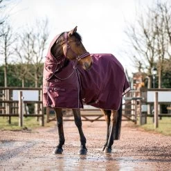 B Vertigo Georgina Weidedecke Mit Abnehmbarem Halsteil, 250g -Pferdebedarf Discounter 24133 WDRE 3