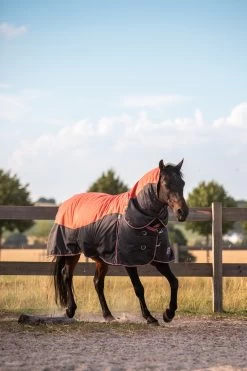 Horze Lucerne Halsteil, 250g -Pferdebedarf Discounter 24199 237 04