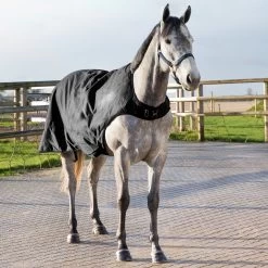 Horze Nevada Führanlagendecke, 200g -Pferdebedarf Discounter 24331 BL 5