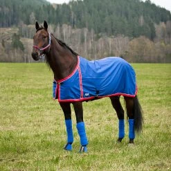 FT Sommerdecke, Enstex -Pferdebedarf Discounter 24370 B RE 1