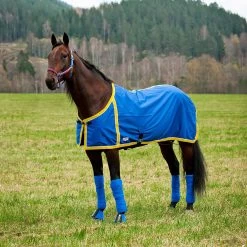 FT Sommerdecke, Enstex -Pferdebedarf Discounter 24370 B YE 1