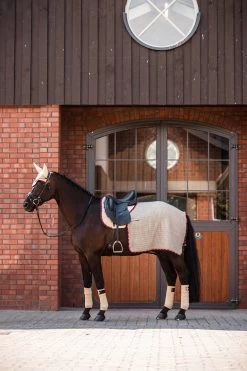 B Vertigo Amory Nierendecke -Pferdebedarf Discounter 24389 WTBE 3