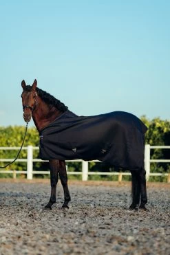 B Vertigo Drew Stall-/Transportdecke 11 B Vertigo Drew Stall-/Transportdecke -Pferdebedarf Discounter 24401 VDB 6