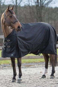 Horze Nevada Regendecke -Pferdebedarf Discounter 24575 BL 02