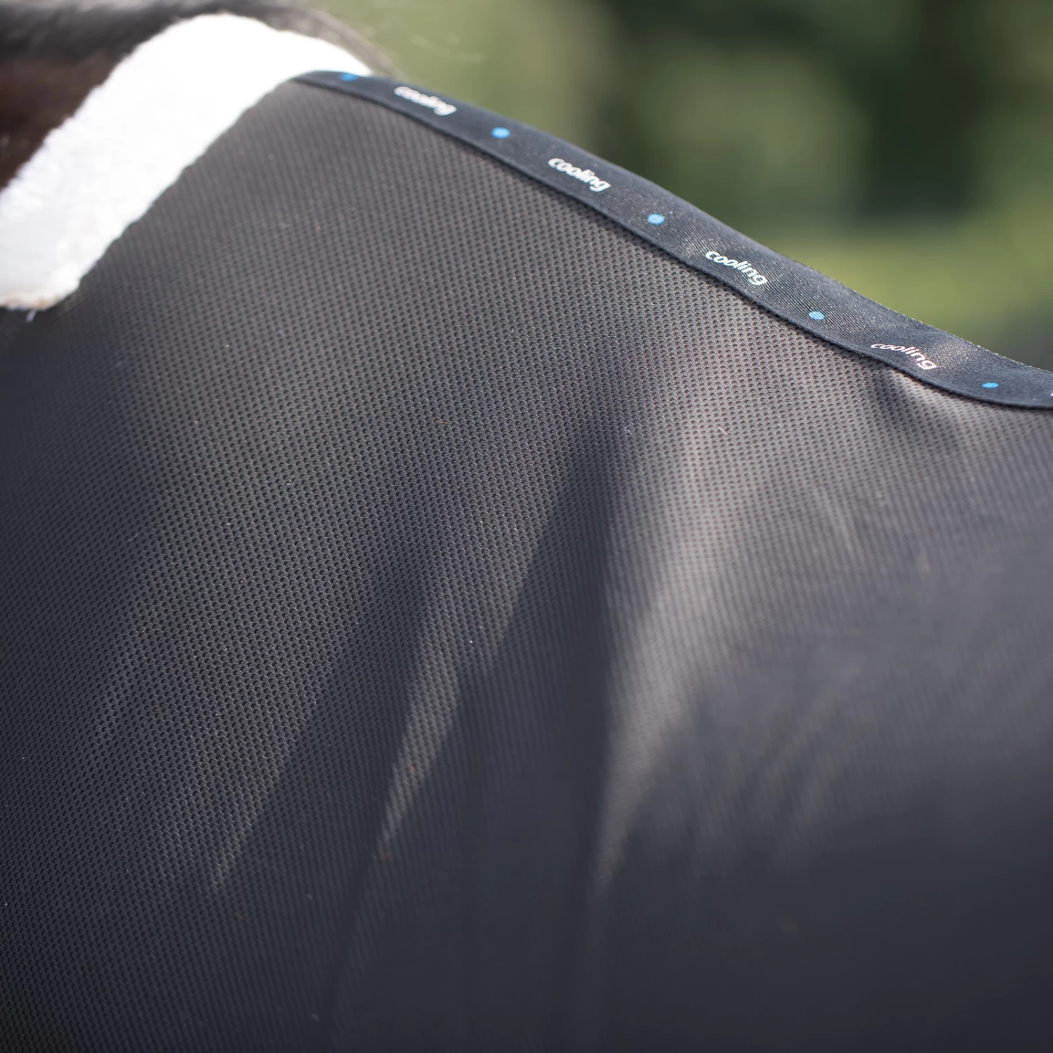 Horze Kühlende Netzdecke 11 Horze Kühlende Netzdecke – Bild 11