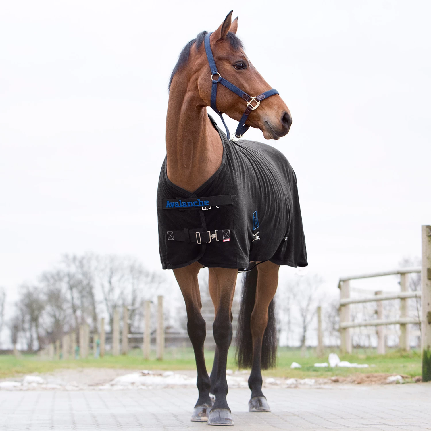 Horze Avalanche Fleece Abschwitzdecke 1 Horze Avalanche Fleece Abschwitzdecke