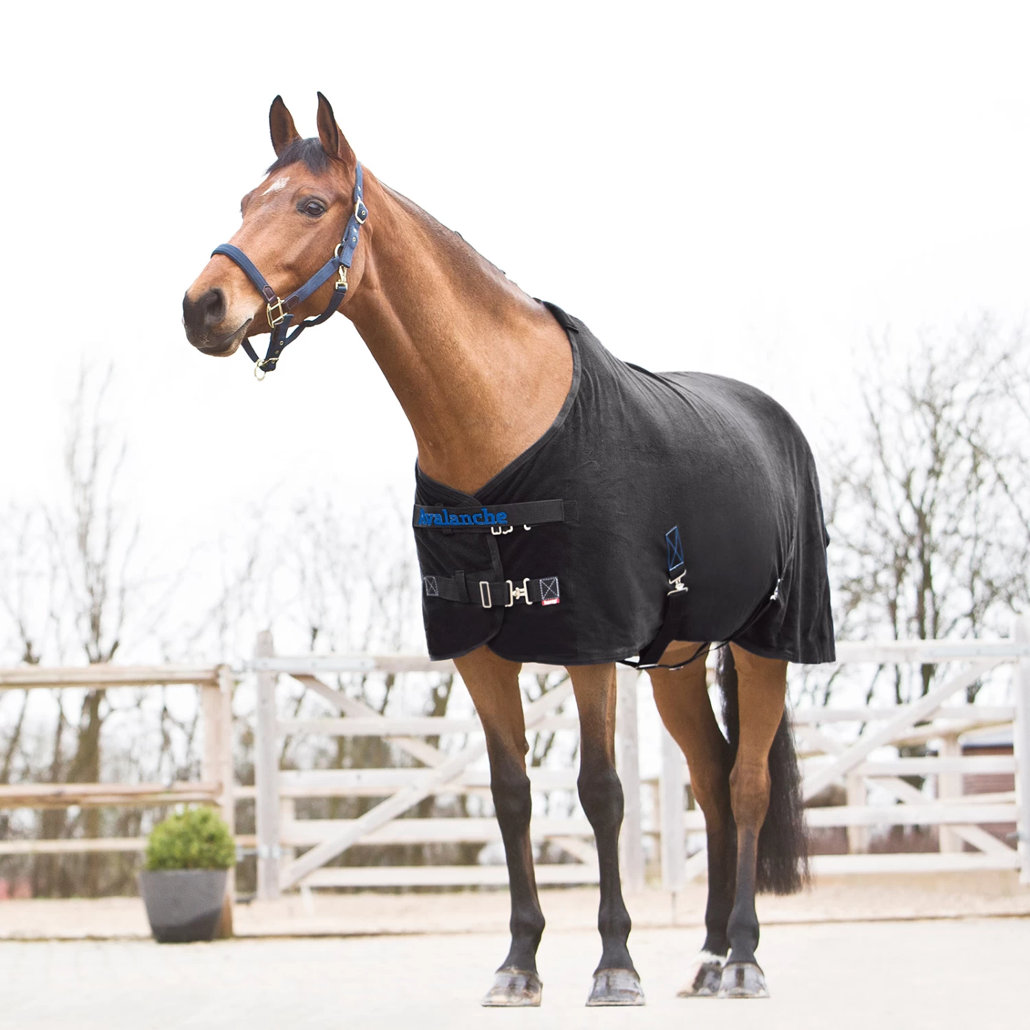 Horze Avalanche Fleece Abschwitzdecke 2 Horze Avalanche Fleece Abschwitzdecke – Bild 2