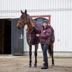 B Vertigo Corey Stalldecke, 250g -Pferdebedarf Discounter 24793 WDRE 1