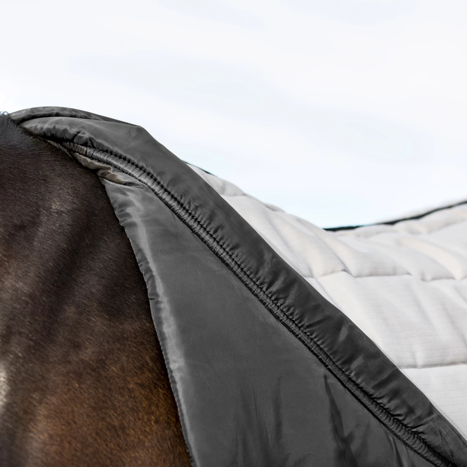 B Vertigo Tim Stalldecke 400g 5 B Vertigo Tim Stalldecke 400g – Bild 5