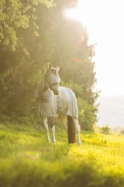 Horze La Pampa Fliegenschutz Set -Pferdebedarf Discounter 24817 g 12