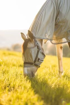 Horze La Pampa Fliegenschutz Set -Pferdebedarf Discounter 24817 g 14